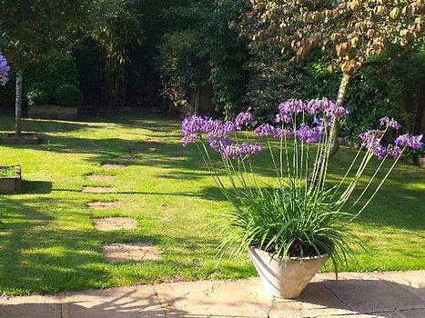 Garden from the house 